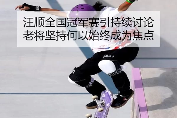 汪顺全国冠军赛引持续讨论 老将坚持何以始终成为焦点